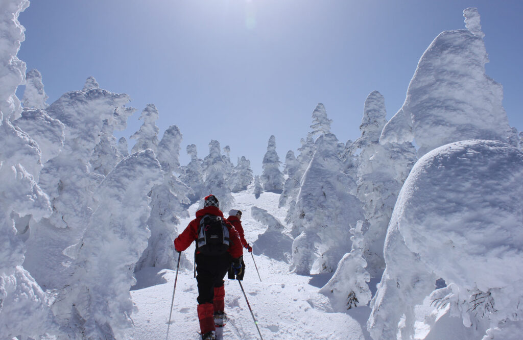 yama aruki yama aruki